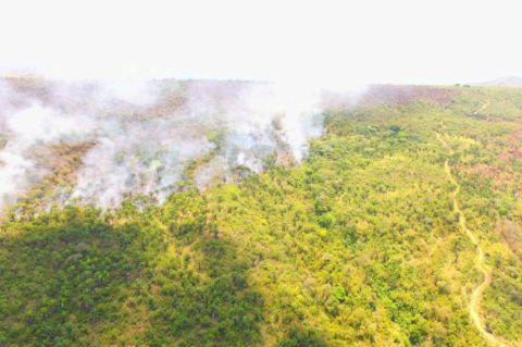 Incendio en base militar de Tolemaida ha consumido 140 hectáreas de vegetación