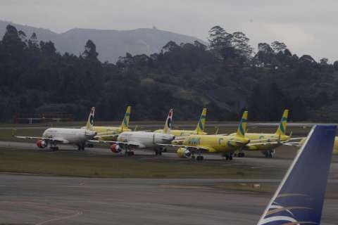 ¿Solo Avianca puede salvar a Viva? Dudas del proceso para salir de la crisis