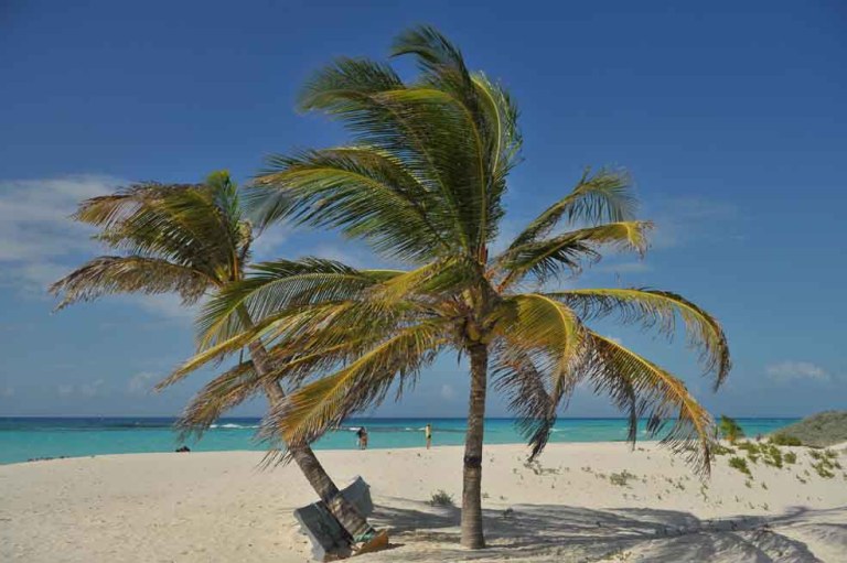 San Andrés, con miras a 2019