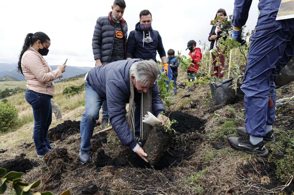 Siembra de árboles en la Reserva Natural El Pajonal de Cogua, a 70 kilómetros de Bogotá.