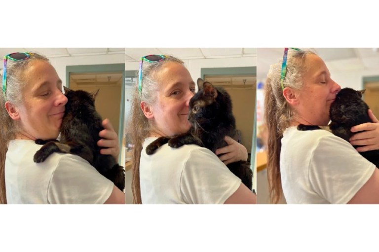 Nora, la valiente gata ciega que sobrevivió en las calles, se reúne con su familia