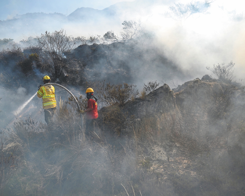 Bomberos trabajaron durante seis días en la extinción del incendio forestar en el cerro El Cable. / Jose Vargas