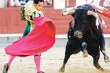 Tauromaquia, una tradición cada vez más cuestionada en España