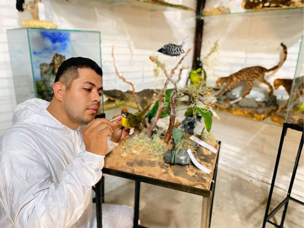 La mayoría de los ejemplares de la colección de Arana son animales que fueron atropellados en las carreteras del departamento.