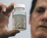 El cambio climático estimula el aumento del dengue y chikunguña: OMS