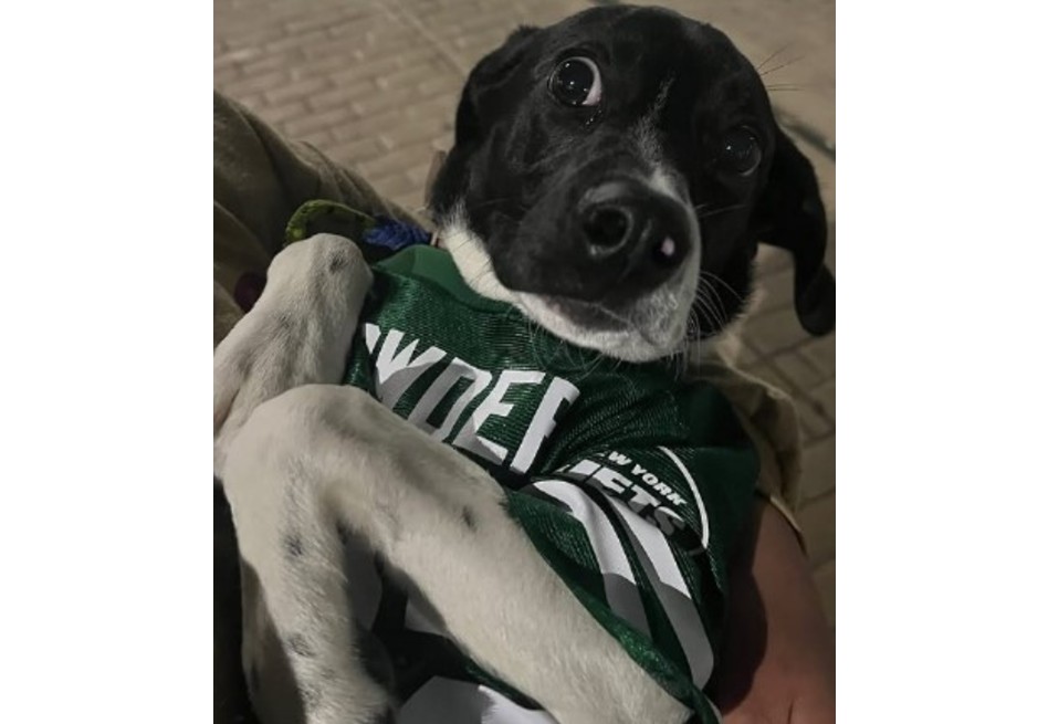 La devolución de Luna pone de nuevo sobre la mesa la importancia de entender que adoptar no es solo un acto de amor momentáneo.