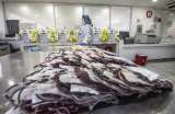 En Cali hurtaron más de 90 bolsas de glóbulos rojos