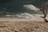 ONU advierte que la salud humana estará en grave riesgo si no protegemos el ambiente
