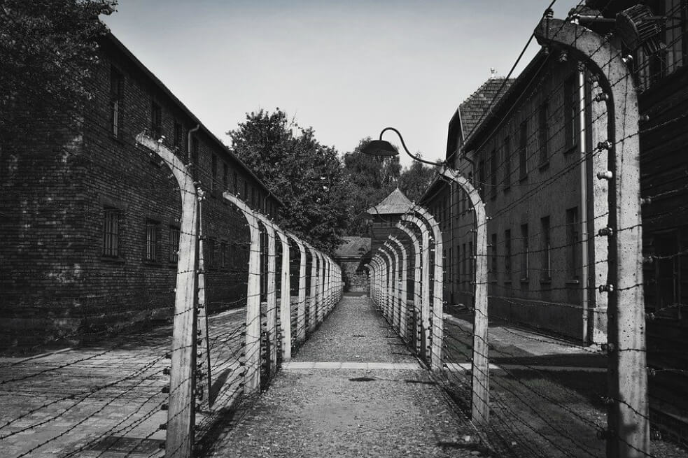 Un grupo de organizaciones israelíes de ayuda a los sobrevivientes del Holocausto apeló al tribunal de distrito de Tel Aviv para impedir que se llevara a cabo la venta.