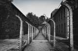Auschwitz y el relato de los límites que no conocíamos