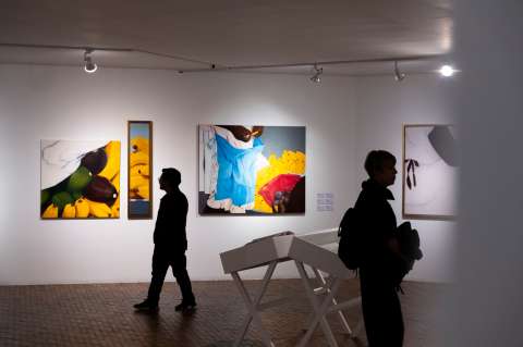 Ana Mercedes Hoyos, Nijolė Šivickas y Silvia Rivas, una conjunción artística en el MAMBO