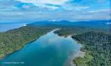 Utría, la bella: entre la selva, el mar y las ballenas