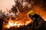 Los incendios forestales que afectan a más del 50 % de Brasil en medio de una histórica sequía