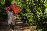 Mujeres rurales son las más afectadas por el cambio climático, advierte la ONU