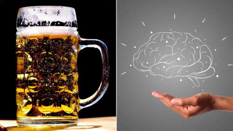 Estos cambios en el cerebro indicarían el deterioro causado por el consumo de alcohol