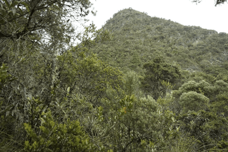 Santuario Pionono-Las Águilas.