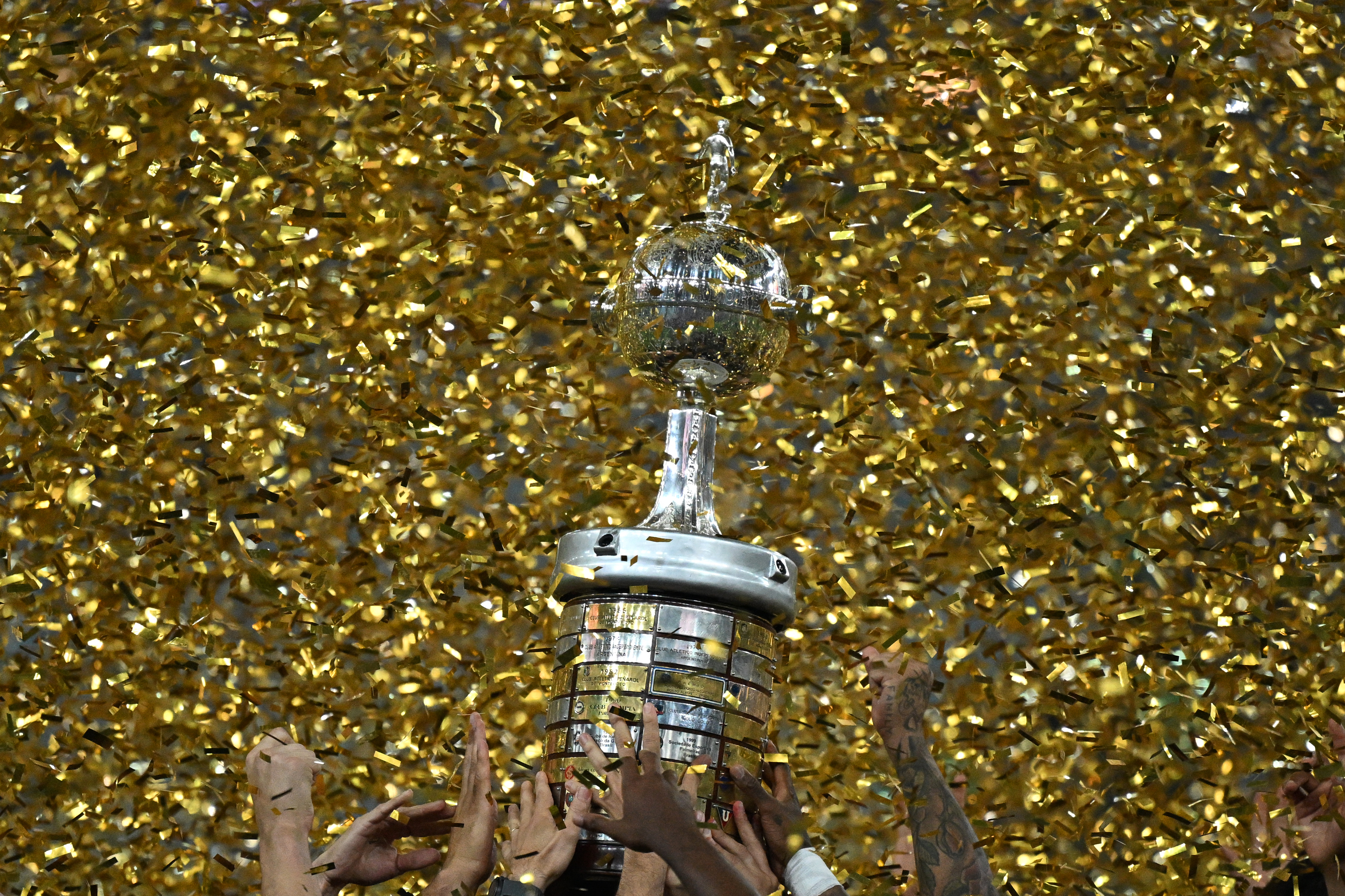 La final de la Copa Libertadores 2025 se jugará en Lima el 29 de noviembre de 2025, anunció el presidente de la Conmebol, Alejandro Domínguez, el 28 de abril de 2025.