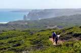 La Great Ocean Walk: cómo recorrer la ruta costera más espectacular de Australia