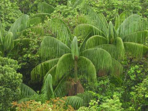 Reserva Natural Yurumí, un pacto con la conservación y la conciencia ambiental