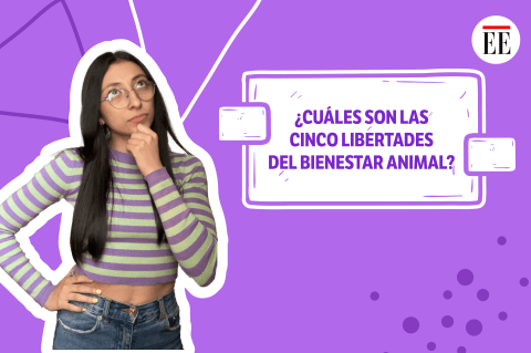 Estas son las cinco libertades del bienestar animal