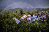 Con simbólica siembra Indígenas Nasa despidieron a autoridad tradicional asesinada en Corinto, Cauca