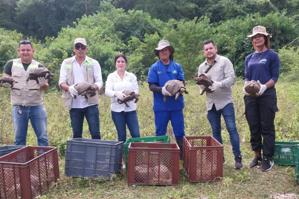Animales rescatados
