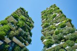 ¿La naturaleza puede protegernos del cambio climático? Estos ejemplos muestran que sí