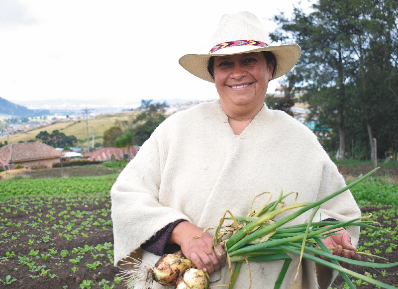 Según el DANE, hay más de 15 millones de campesinos reconocidos como tal en Colombia.