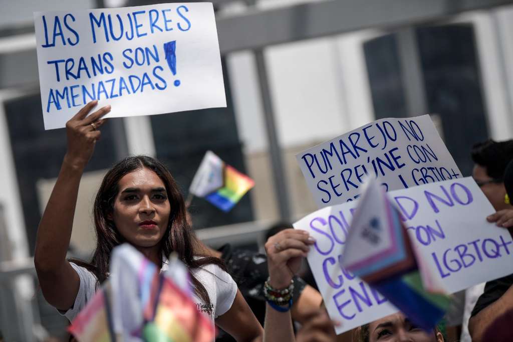 Las mujeres transgénero, asegura el informe, son el subgrupo de la comunidad LGTBIQ+ que más vulneraciones contabilizan, entre ellas violencia sexual, psicológica, física y económica.