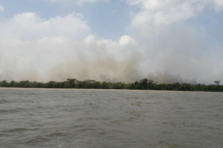 Cuatro días de fuego en el Parque Nacional Los Katíos