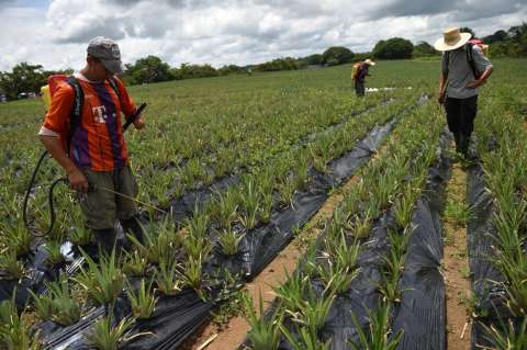 La reforma rural podría no pasar el examen de la Corte Constitucional