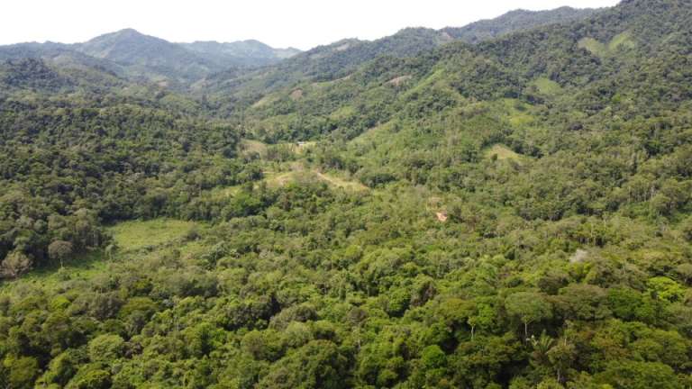 Las imágenes muestran puntos deforestados al interior del Parque Nacional Natural Paramillo, en los departamentos de Córdoba y Antioquia.