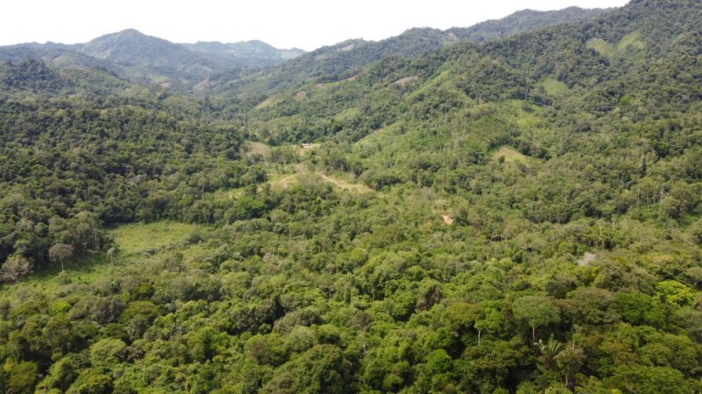 Las imágenes muestran puntos deforestados al interior del Parque Nacional Natural Paramillo, en los departamentos de Córdoba y Antioquia.