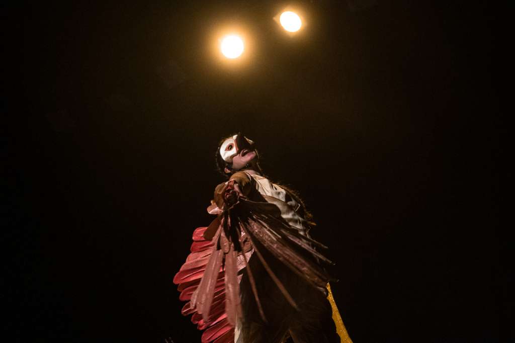 El ballet, la danza, el teatro y el circo, serán algunas de las actividades que se realizarán de viernes a domingo.