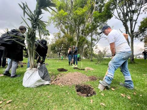 Siembran más de 150 árboles en el campus de la Universidad Nacional
