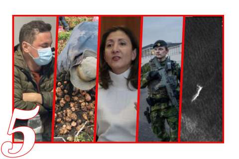Las cinco noticias del día: audiencia contra Jhonier Leal, Ingrid Betancourt y más