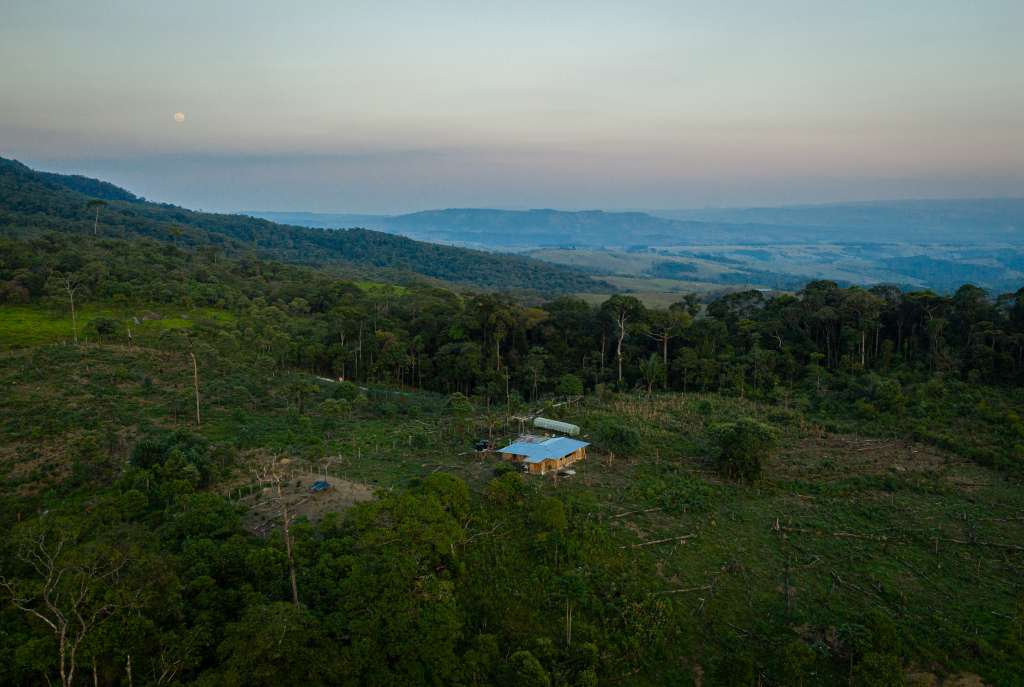 En el territorio de la comunidad misak, en las últimas montañas antes de empezar la planicie, se cultiva el café Nuevo Milenio, catalogado como el de mayor calidad en el Meta.