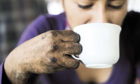 Una crisis del café que no distingue fronteras
