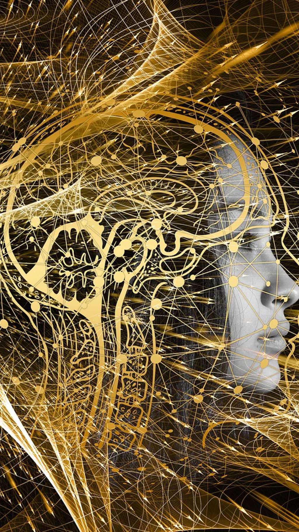 Cerebro y neuronas