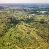 ISA y su compromiso ambiental: sostenibilidad y Conexión Jaguar en la COP16