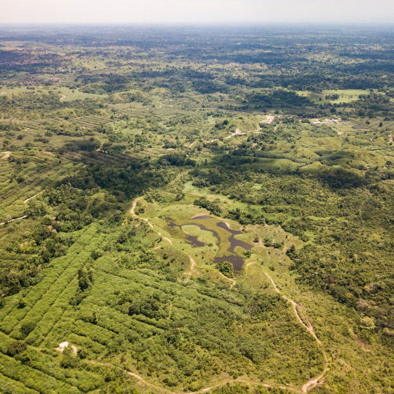 ISA y su compromiso ambiental: sostenibilidad y Conexión Jaguar en la COP16