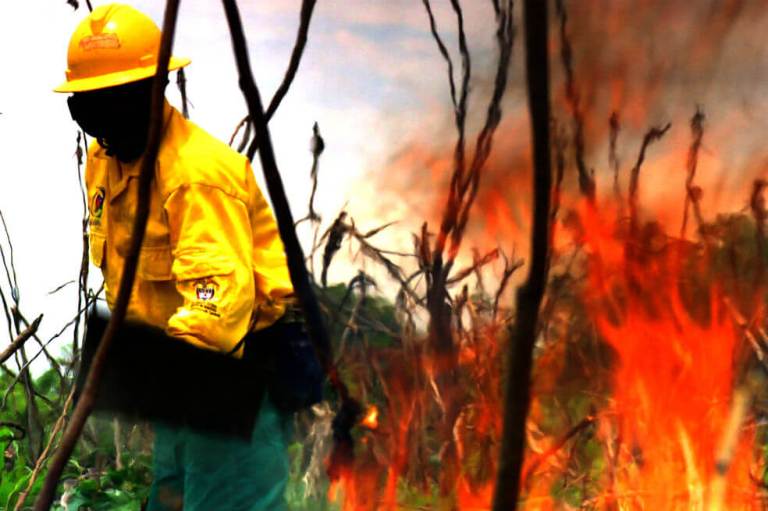 Cormacarena denuncia que en lo corrido del año van 310 incendios forestales en el Meta