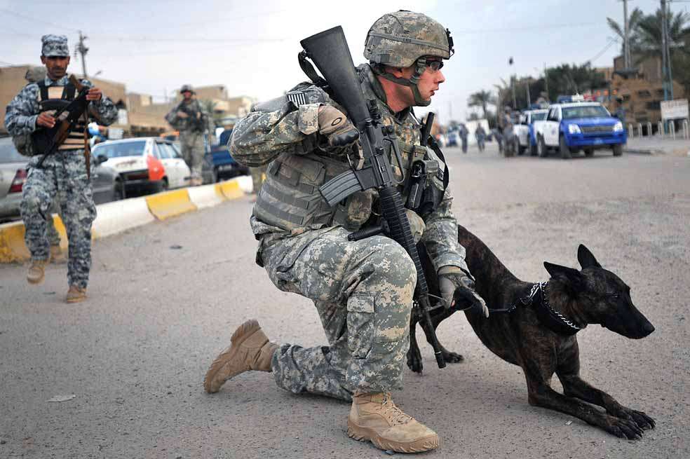 Un perro antiexplosivos durante una misión en Irak. / Flickr: The U.S. Army