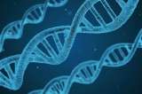 Científicos crearon un test “más preciso” para medir el envejecimiento biológico
