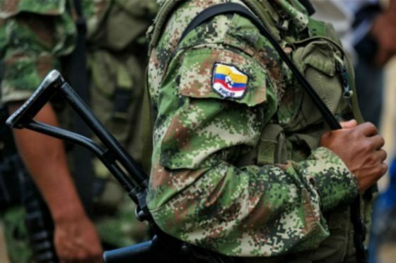 El sueño ganadero de los excombatientes de la FARC en Icononzo