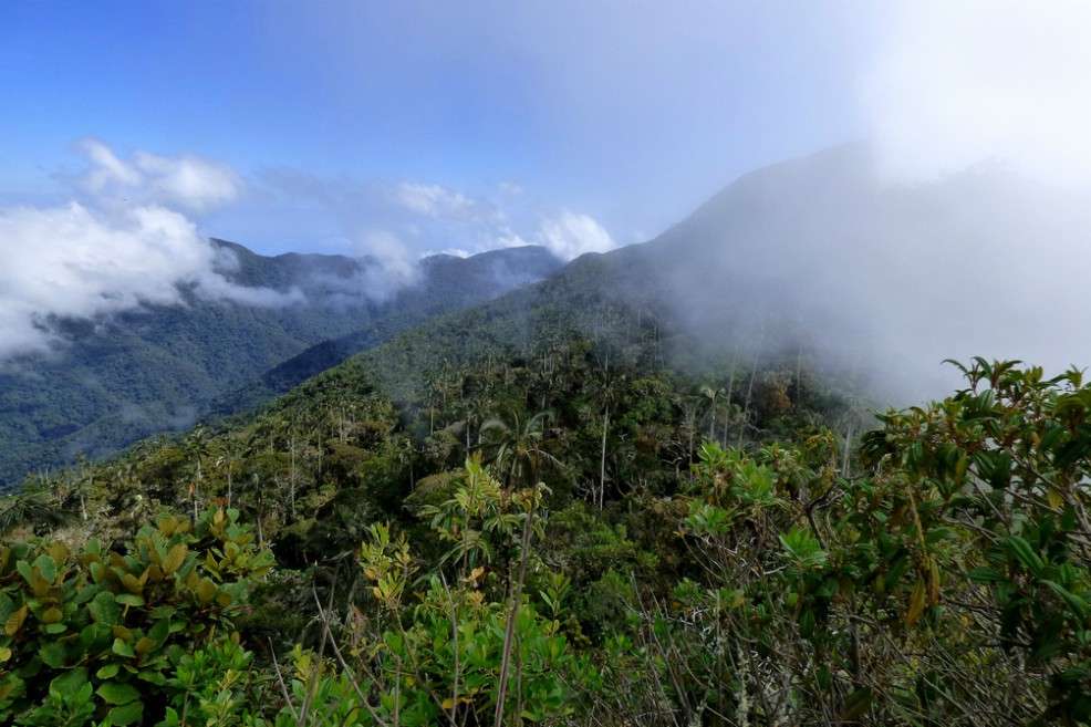 Sierra Nevada de Santa Marta. Flickr - Alejandro Bayer Tamayo.