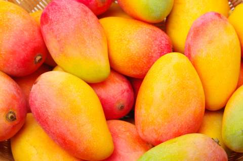 El lugar llamado “capital del mango en Colombia”: sus calles están llenas de esta fruta