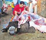 Carne subiría de precio por norma sanitaria