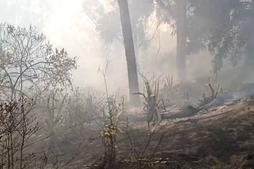 Bomberos aúnan esfuerzos por controlar seis incendios en el departamento.
