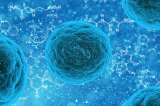Así influyen las infecciones virales en el envejecimiento de nuestras células